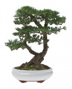 How to Choose the Correct Bonsai Plant Food